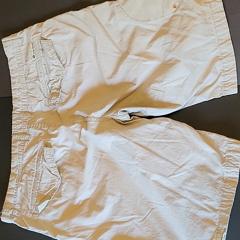 Men's Buffalo David Bitton Shorts, Size 34W - Picture 5 of 10